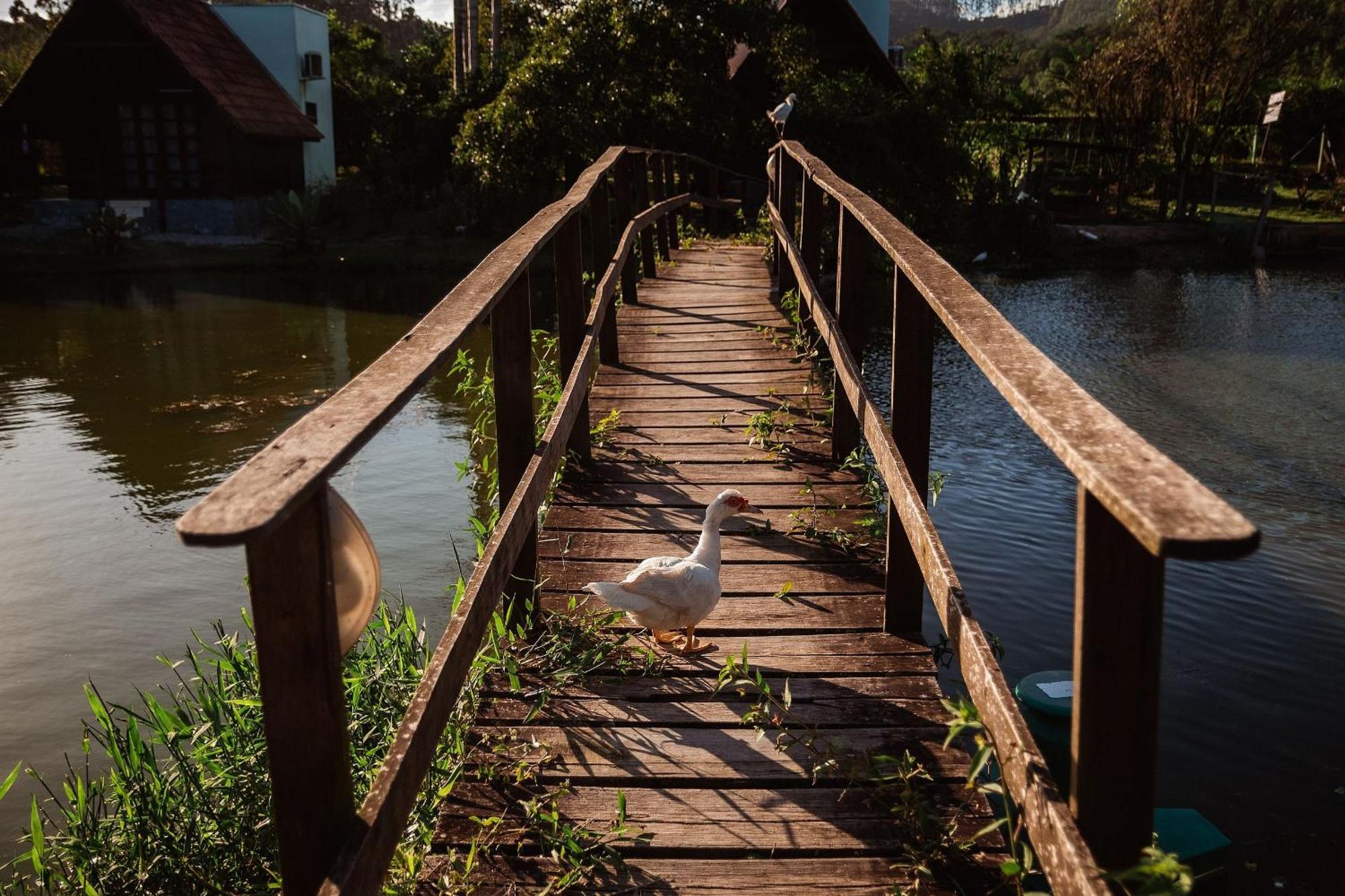 Chalé Standard Sao Joao Batista Esterno foto