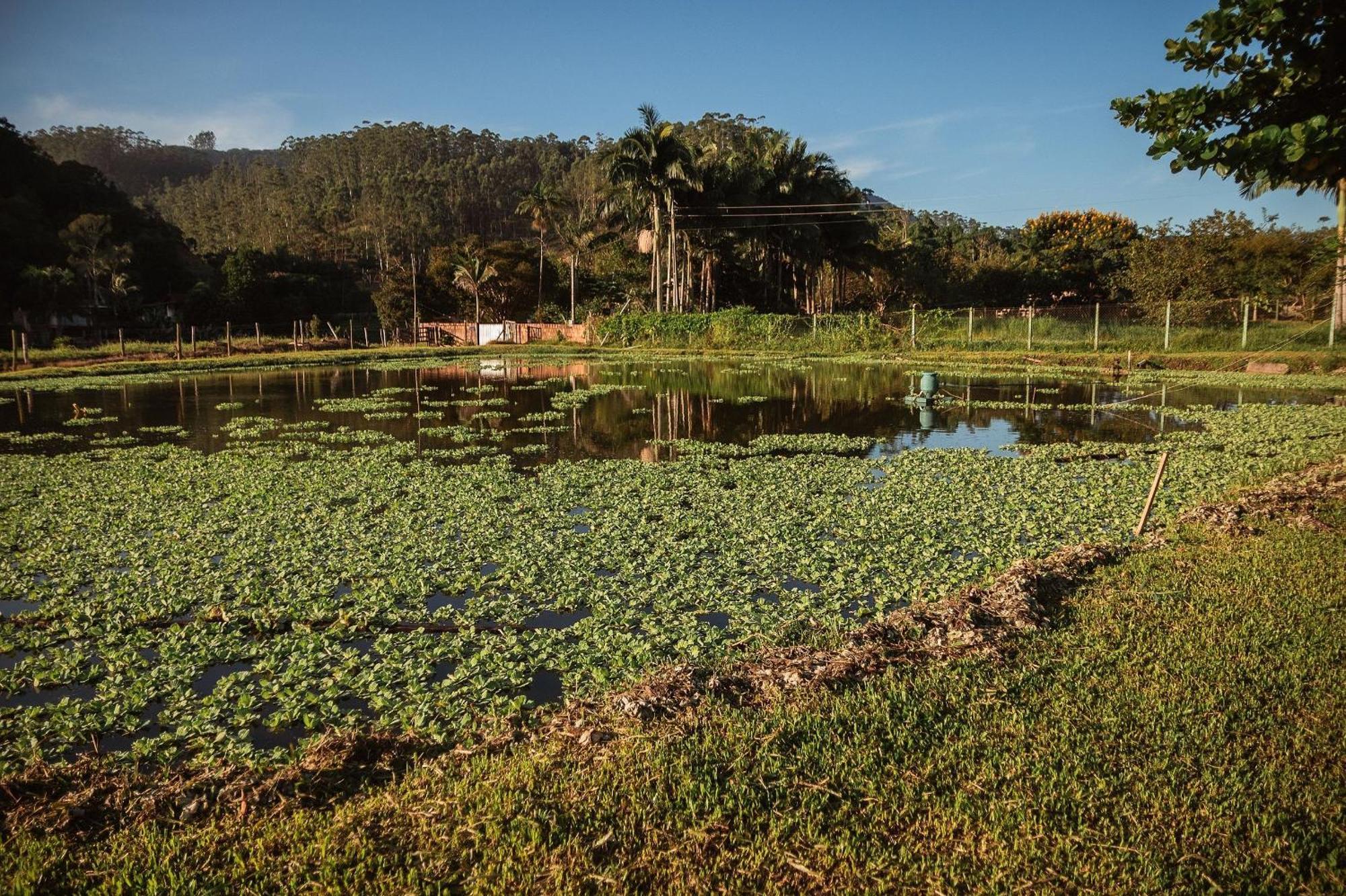 Chalé Standard Sao Joao Batista Esterno foto
